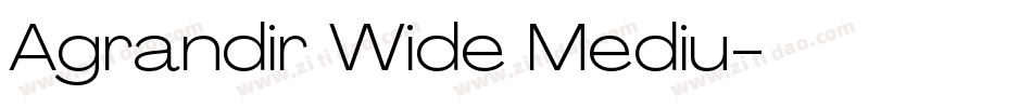 Agrandir Wide Mediu字体转换